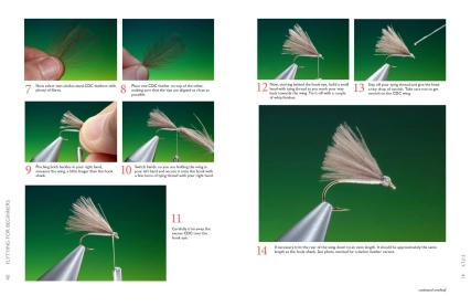 F-Fly sample pages F-Fly sample pages