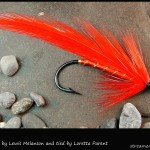 #244 Fire Fly - Loretta Parent #244 Fire Fly - Loretta Parent