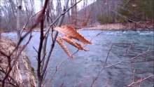 Video thumb for Constant