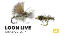 Video thumb for Twisto Caddis & Missing Link