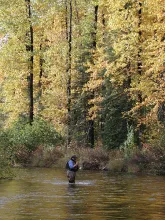 User submitted picture: Searching for targets-Fal...