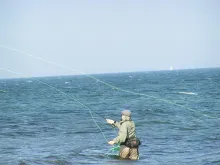 User submitted picture: Nice cast!

Camera: Min...