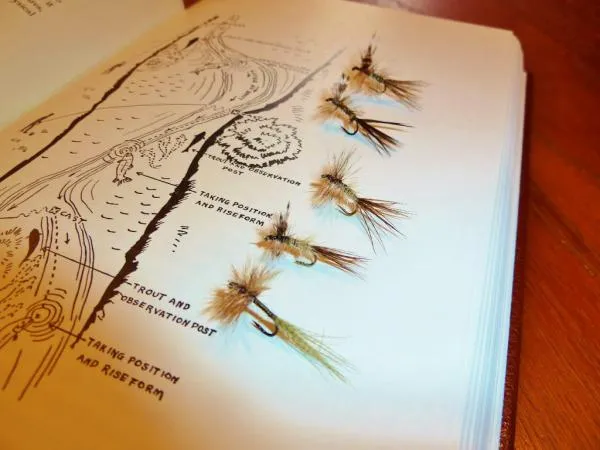 User submitted picture: some winged dryflies in s...