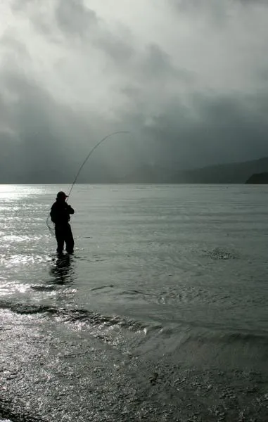 User submitted picture: Between clouds