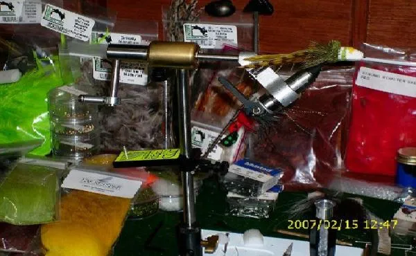 User submitted picture: A diving bug tied from de...