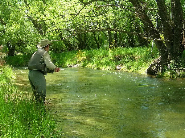 User submitted picture: Surrounded by green.  