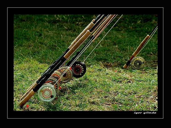 User submitted picture: Game Fair