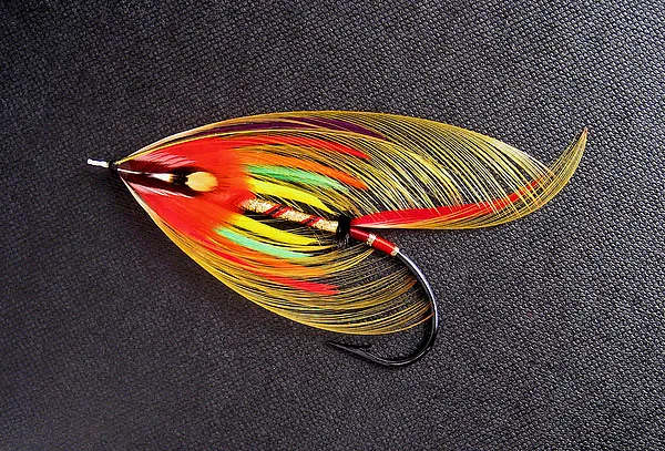 User submitted picture: Solar Wind Variation