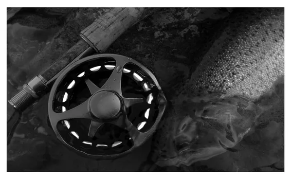 User submitted picture: ...wanderer